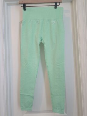 Gymshark Mint Seamless Leggings